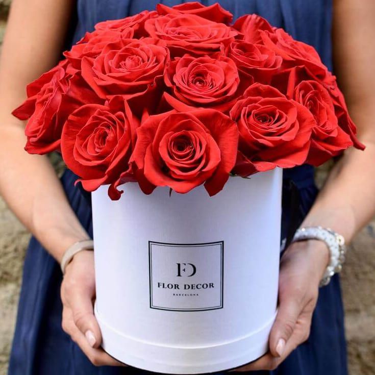 Афродита от 6 290 руб.