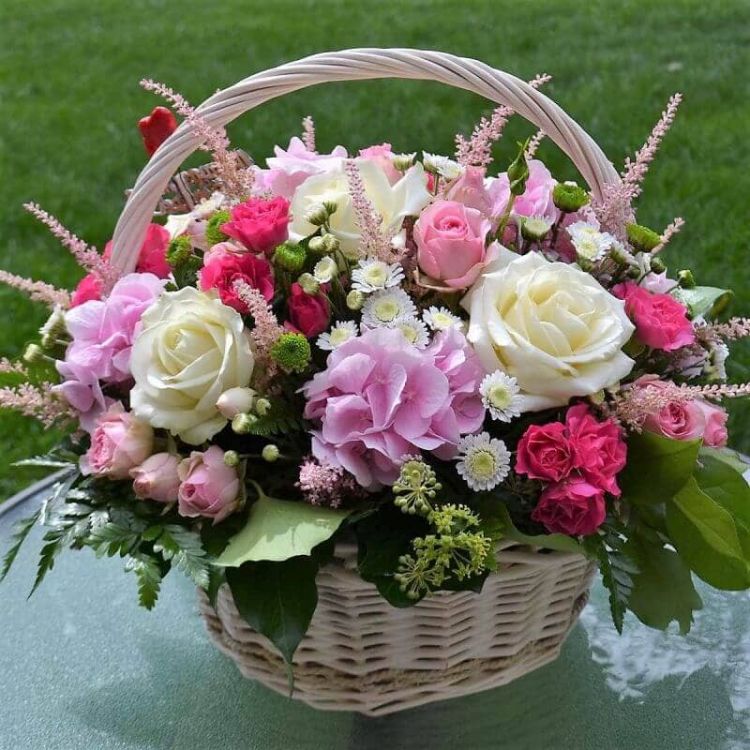 Роскошь от 9 390 руб.