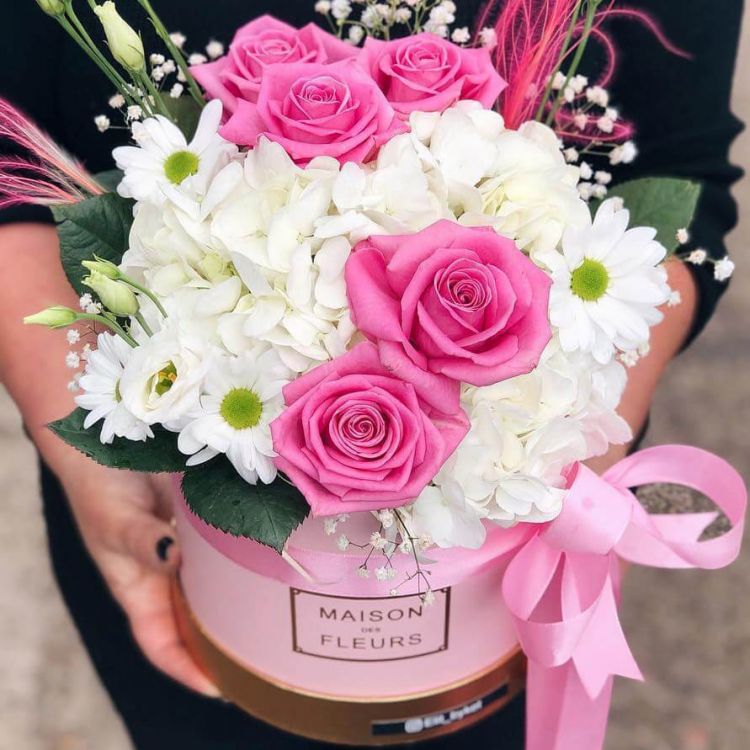 Воздушные грёзы от 5 450 руб.