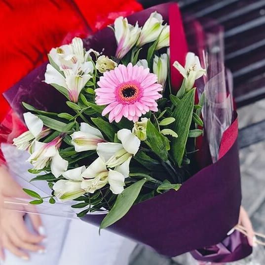 Соната от 2 810 руб.