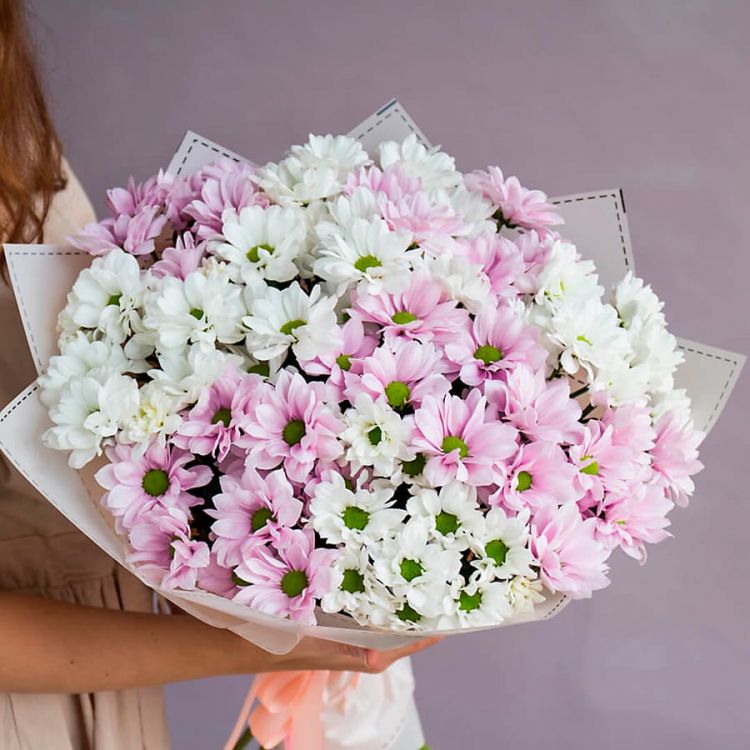 Сеньорита от 4 690 руб.