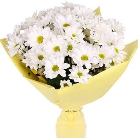 Солнце в ладонях