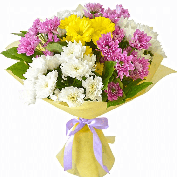 Ясное утро от 2 590 руб.