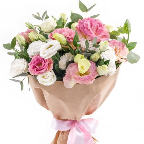 Миледи от 3 240 руб.