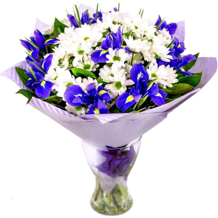 Ноктюрн от 4 810 руб.