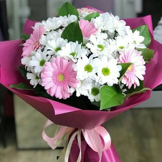 Девчонка от 2 410 руб.