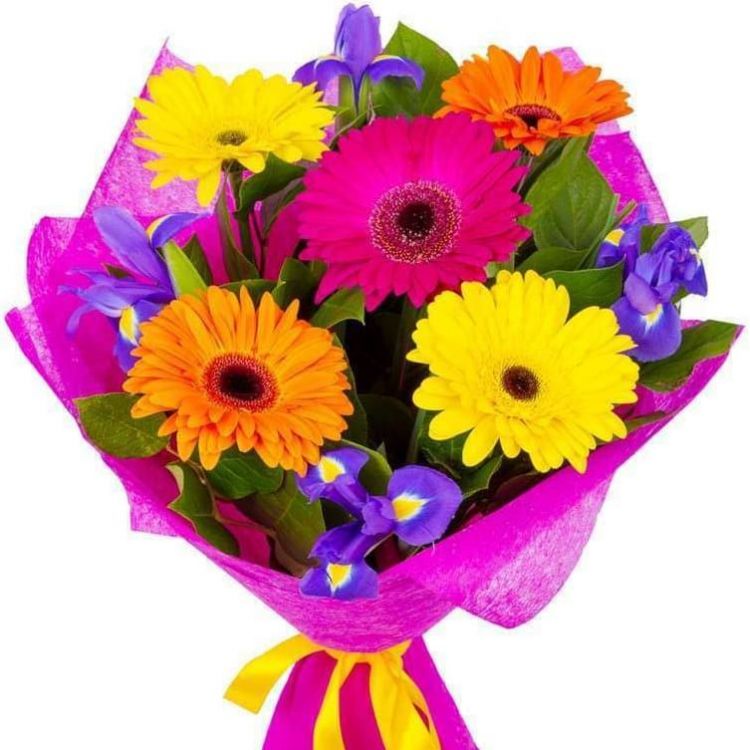 Контрасты от 2 500 руб.