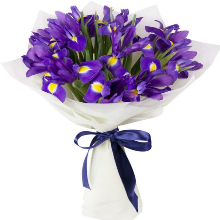 Взгляд чародейки от 2 240 руб.