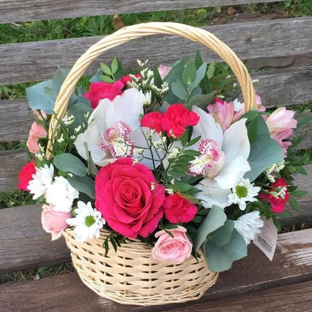 Глазами художника