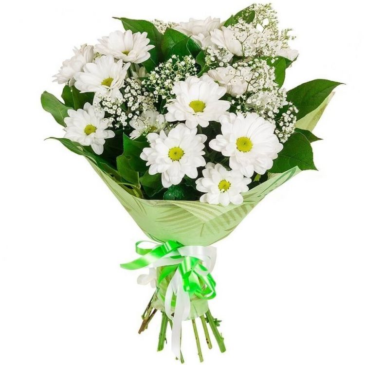 Утренняя роса от 3 240 руб.