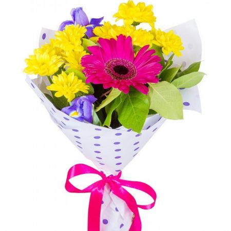 Солнечный день