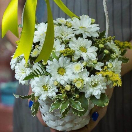 Звуки природы