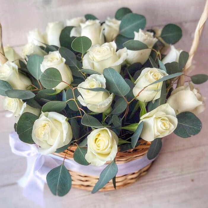 Лебединая грация от 5 220 руб.